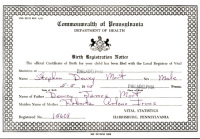 Stephen Mort Birth Registration