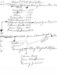 Hand Drawn Family Tree 1 of 3 by Mary M Mort